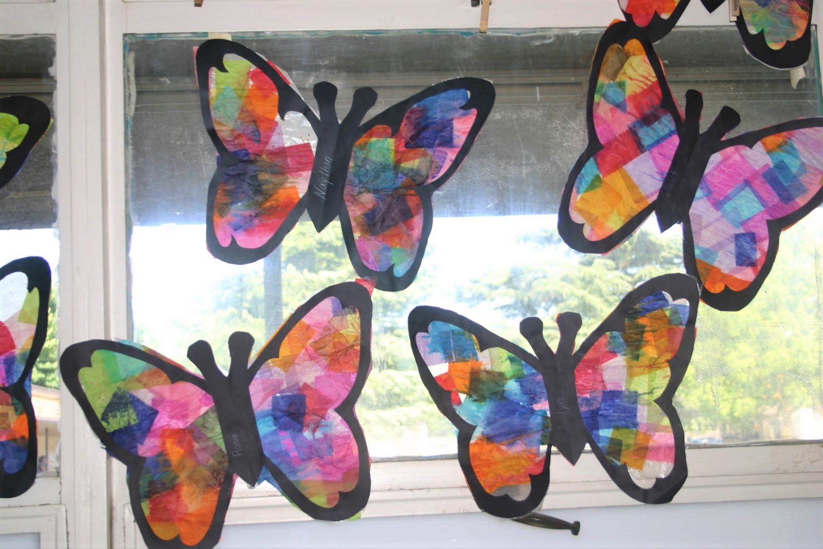 Our Project For The Summer Term Is MiniBeasts Children s House 