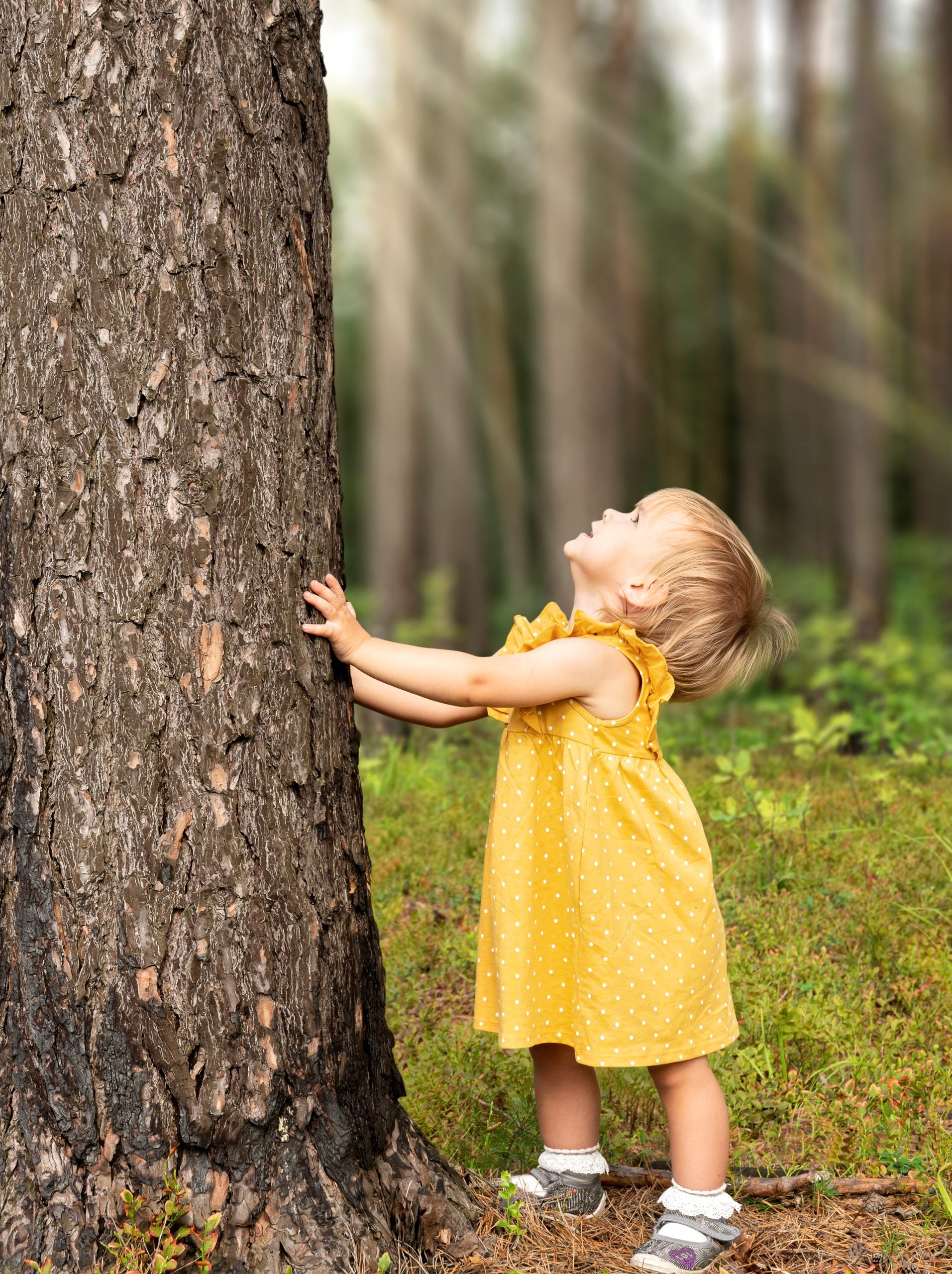 Our project for the Summer term is ‘Little Explorers!’ » Children's ...