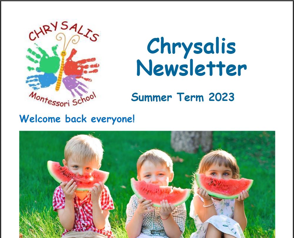 Chrysalis Summer Term Newsletter